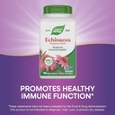 nature-s-way-echinacea-purpurea-herb-imm-4.jpg