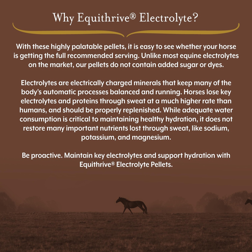 equithrive-horse-electrolyte-pellets-vit-2.jpg
