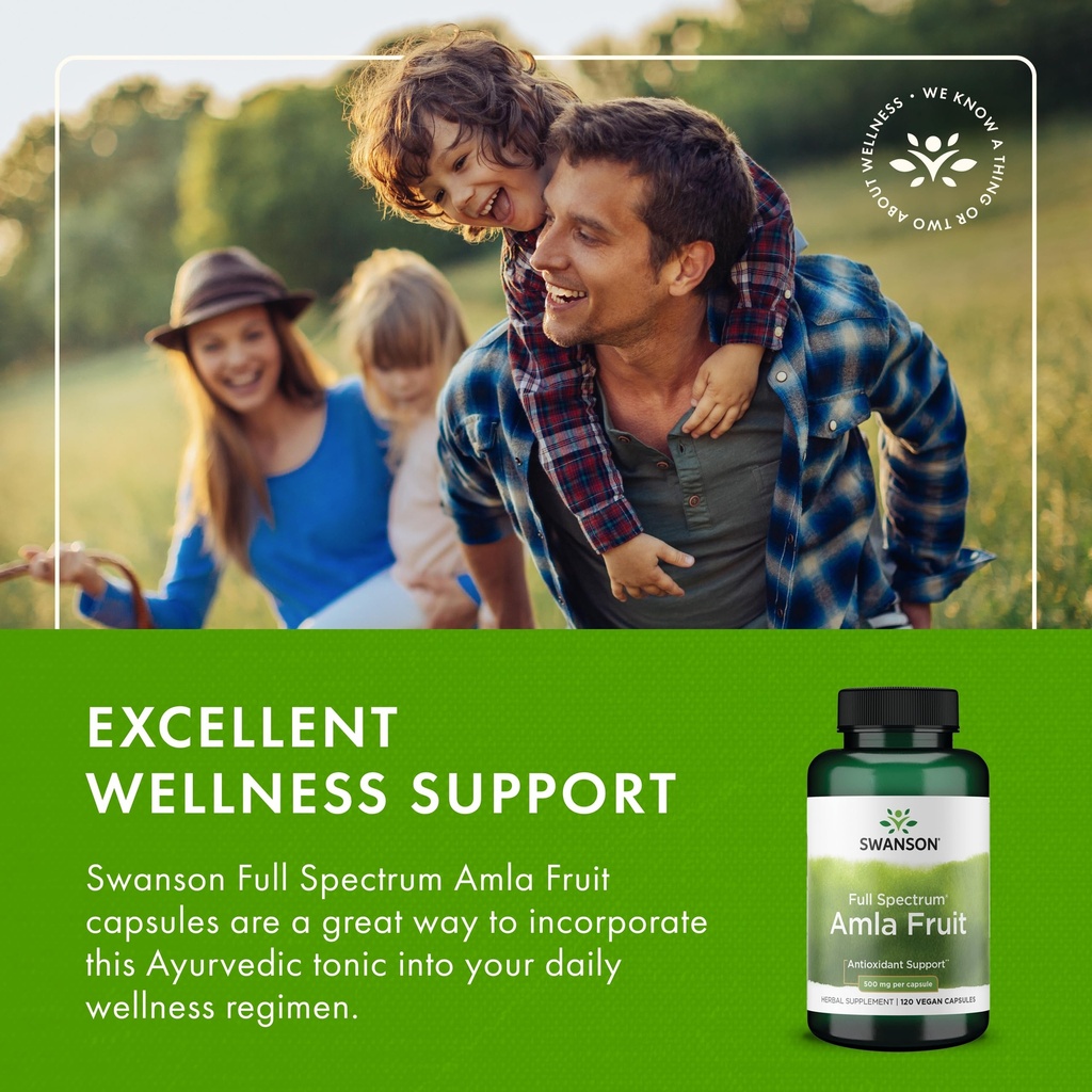 swanson-full-spectrum-amla-fruit-indian--6.jpg