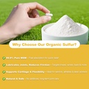 msm-capsules-1000mg-organic-sulfur-suppl-2.jpg