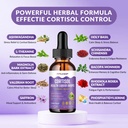 cortisol-supplement-liquid-drops-hormone-2.jpg