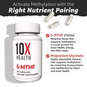 10x-health-5-mthf-methylfolate-methylate-3.jpg