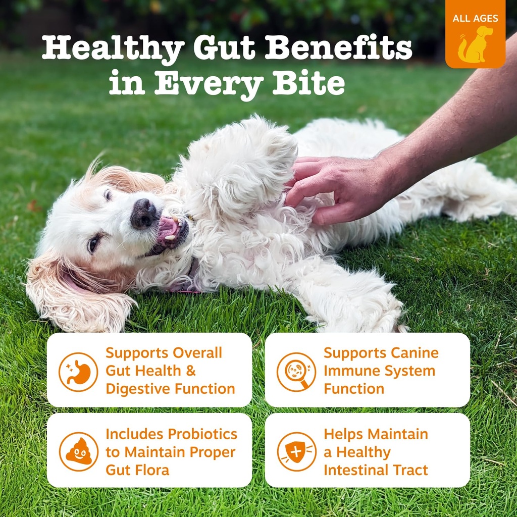 zesty-paws-probiotics-for-dogs-digestive-2.jpg