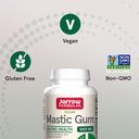 jarrow-formulas-mastic-gum-1000-mg-60-ve-5.jpg