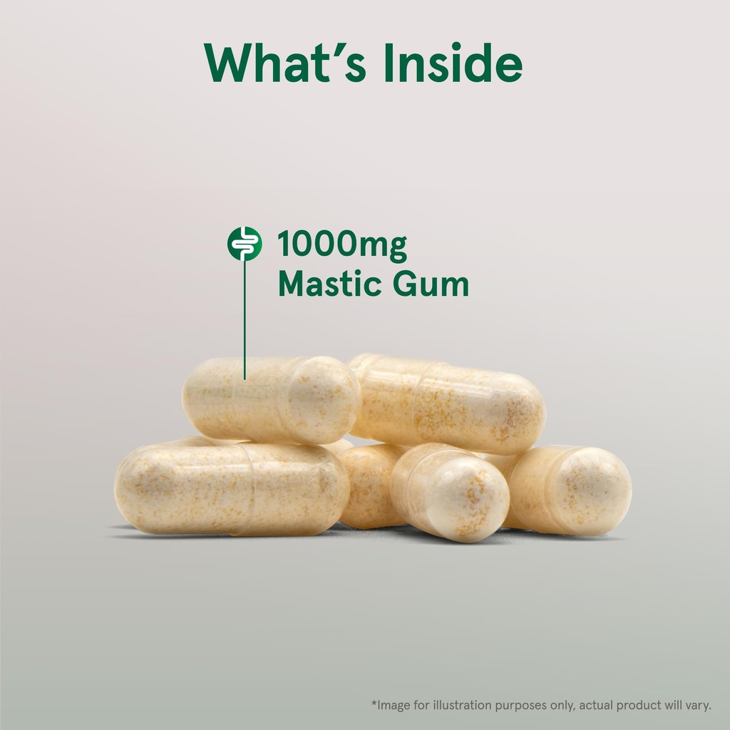 jarrow-formulas-mastic-gum-1000-mg-60-ve-3.jpg
