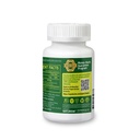 h-pylori-support-digestive-health-supple-3.jpg