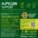 h-pylori-support-digestive-health-supple-4.jpg