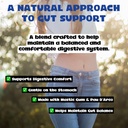pylori-control-digestive-support-supplem-2.jpg