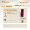 stomach-plus-gastric-lining-integrity-ul-4.jpg