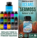 30day-supply-sea-moss-and-shilajit-bundl-4.jpg