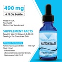 absonutrix-nattokinase-supplement-490-mg-2.jpg