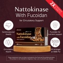 umeken-nattokinase-plus-fucoidan-nattoki-2.jpg