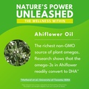 bold-botanica-plant-vegan-omega-3-6-9-wi-6.jpg