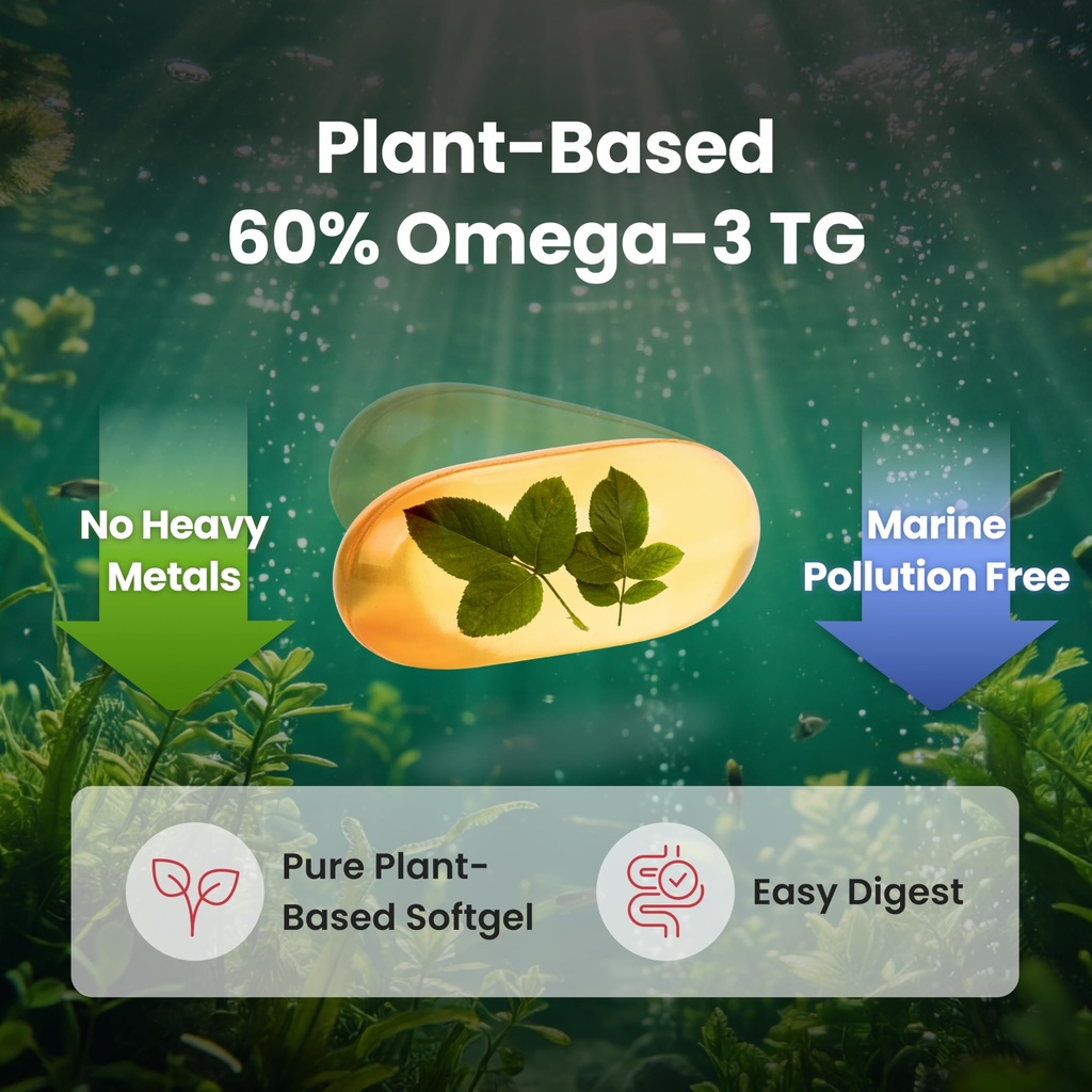 ntg-omega-3-plus-vitamins-vegan-algal-oi-5.jpg
