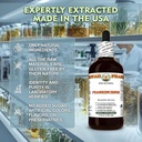 frankincense-boswellia-serrata-dry-resin-4.jpg
