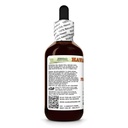 frankincense-boswellia-serrata-dry-resin-3.jpg