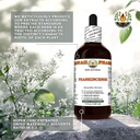 frankincense-boswellia-serrata-dry-resin-5.jpg