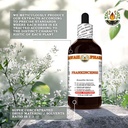 frankincense-boswellia-serrata-dry-resin-5.jpg