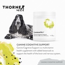 thornevet-canine-cognitive-support-powde-3.jpg