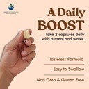 american-standard-supplements-tongkat-al-4.jpg