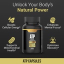 better-life-lab-atp-supplement-supports--6.jpg