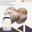 nootropics-depot-lions-mane-mushroom-cap-5.jpg