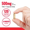 force-factor-boswellia-extract-capsules--4.jpg