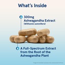 jarrow-formulas-ashwagandha-capsules-300-3.jpg