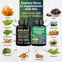 shilajit-and-sea-moss-bundle-90-count-se-4.jpg