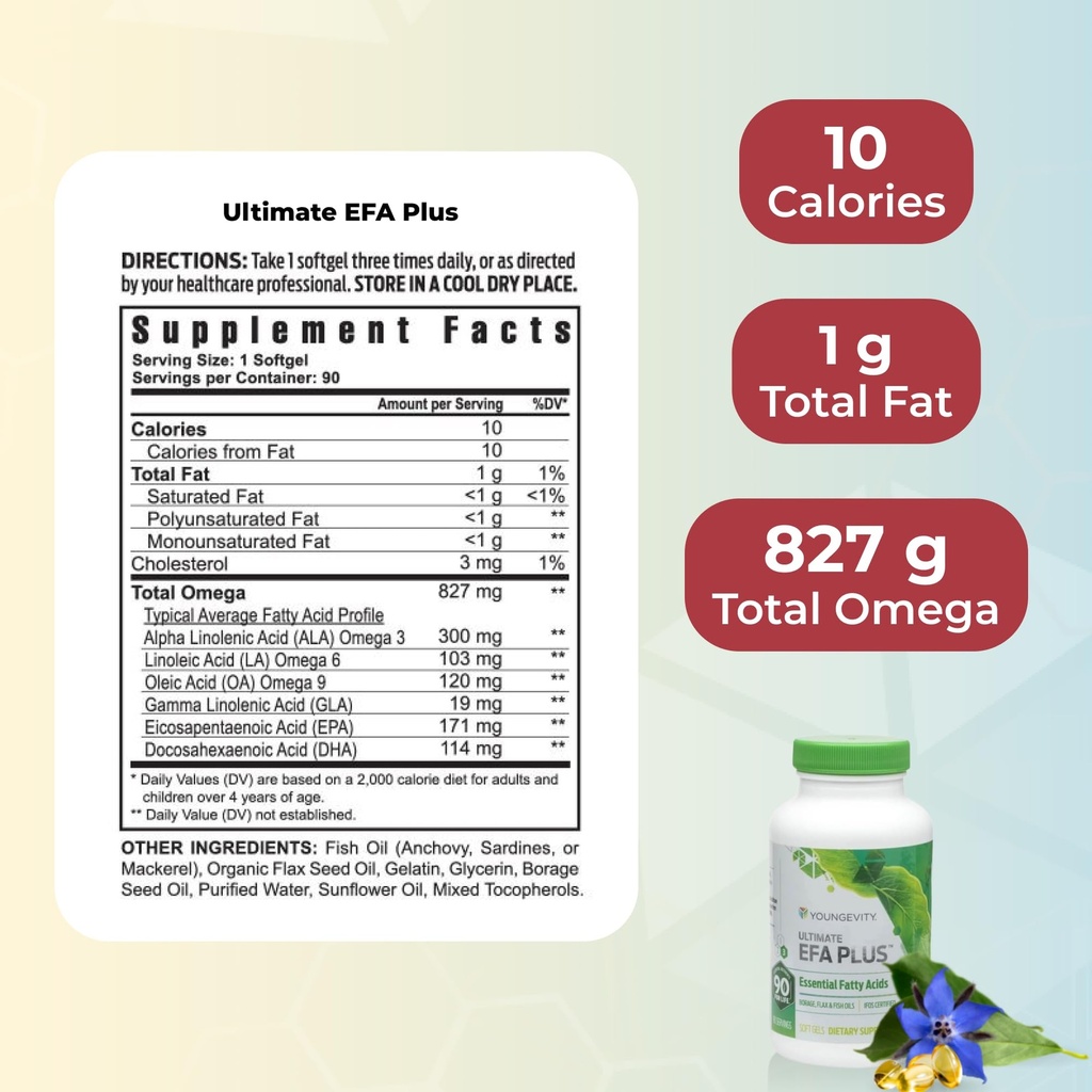youngevity-healthy-body-start-pack-2-0-b-5.jpg
