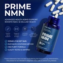 bone-science-uthever-nmn-pterostilbene-6-6.jpg