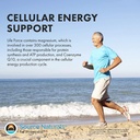 source-naturals-life-force-multiple-ener-5.jpg