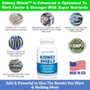 kidney-restore-kidney-shield-4-pack-bund-5.jpg