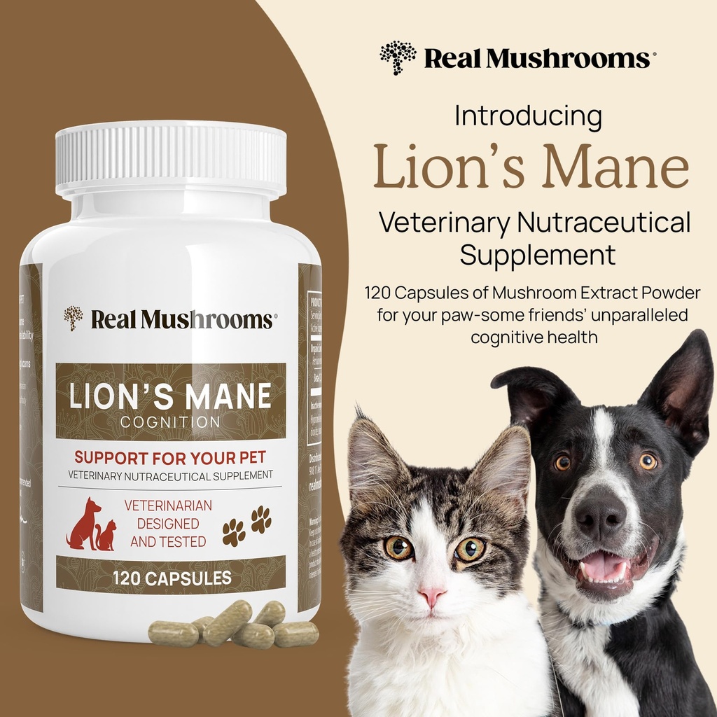 real-mushrooms-lions-mane-for-humans-300-6.jpg