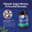 bundle-of-pure-vitamin-b3-niacinamide-50-6.jpg