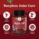 bundle-of-pms-support-supplement-for-wom-5.jpg