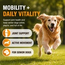 krill-oil-omega-3-for-dogs-allergy-relie-5.jpg
