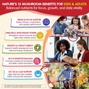 kids-teens-adults-focus-gummies-lions-ma-3.jpg