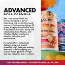 core-nutritionals-abc-advanced-bcaa-supp-4.jpg