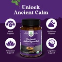 high-strength-organic-ashwagandha-supple-6.jpg