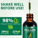 mullein-leaf-extract-for-lungs-mullein-d-2.jpg