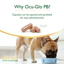 ocu-glo-pb-vision-supplement-for-small-d-5.jpg