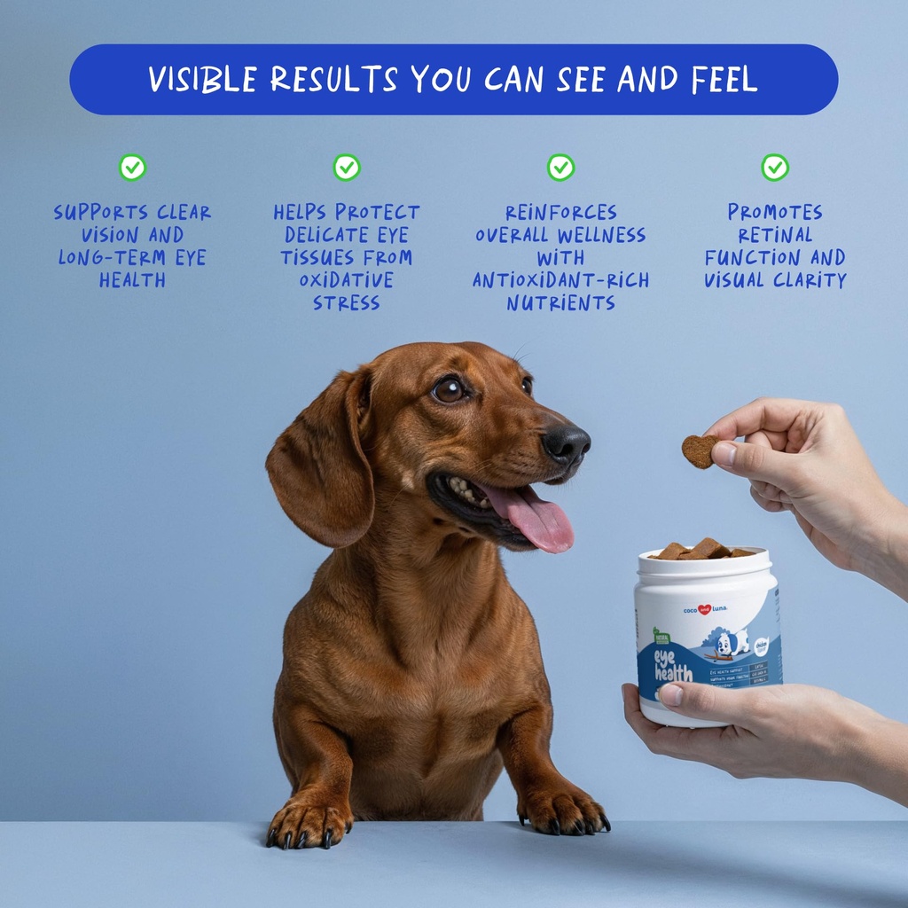 eye-support-for-dogs-90-soft-chews-dog-s-3.jpg