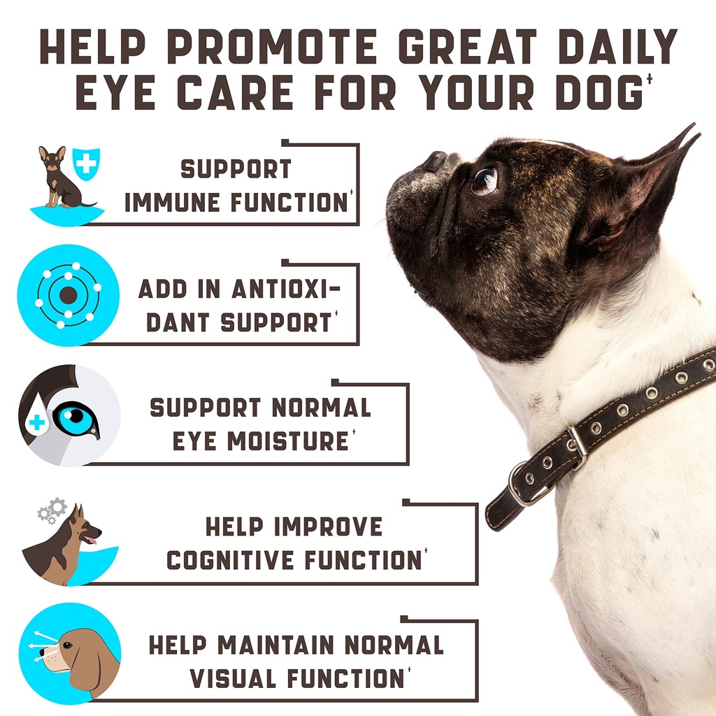 eye-vitamins-for-dog-eye-health-tear-sta-2.jpg