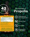herb-pharm-propolis-liquid-herbal-extrac-2.jpg