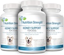 kidney-support-for-dogs---renal-bladder--5.jpg