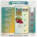 pure-pressure-50-blood-pressure-suppleme-4.jpg