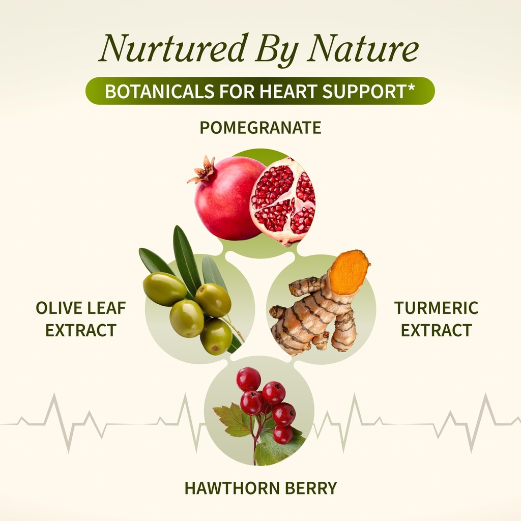 snap-supplements-heart-health-support-su-3.jpg