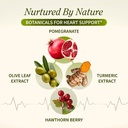 snap-supplements-heart-health-support-su-3.jpg
