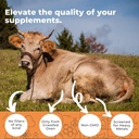 ox-bile-extract-1-000mg-and-citrus-berga-4.jpg